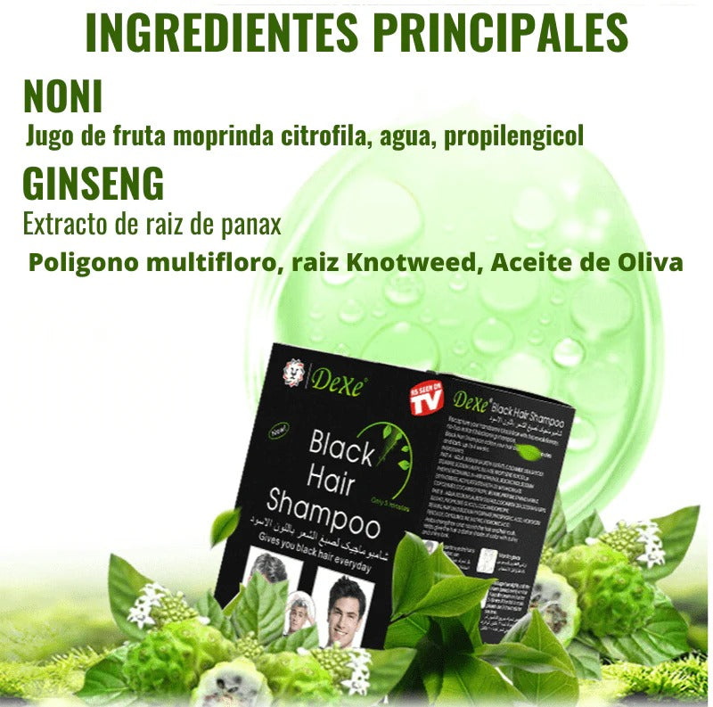 Black Hair® Shampoo Quita Canas